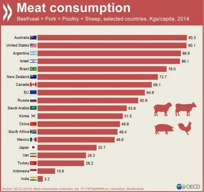 Combien De Viande Mange Ton Dans Le Monde Changeons Notre Vie Blog 