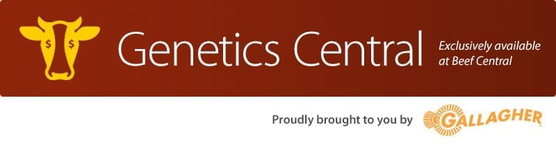 Genetics Central - exclusive to Beef Central
