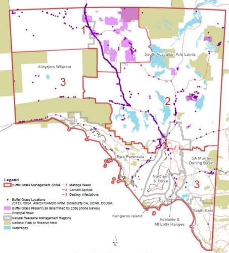 buffel-sa-zones - Beef Central