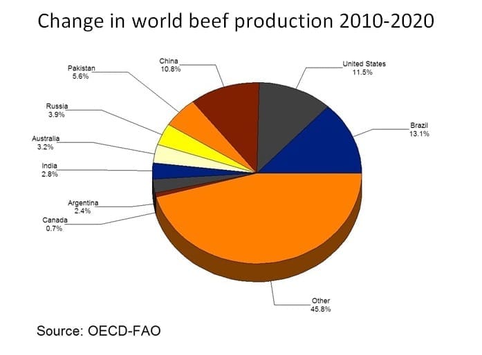 world-beef-production-beef-central