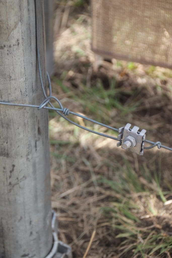 are electric fences bad for dogs
