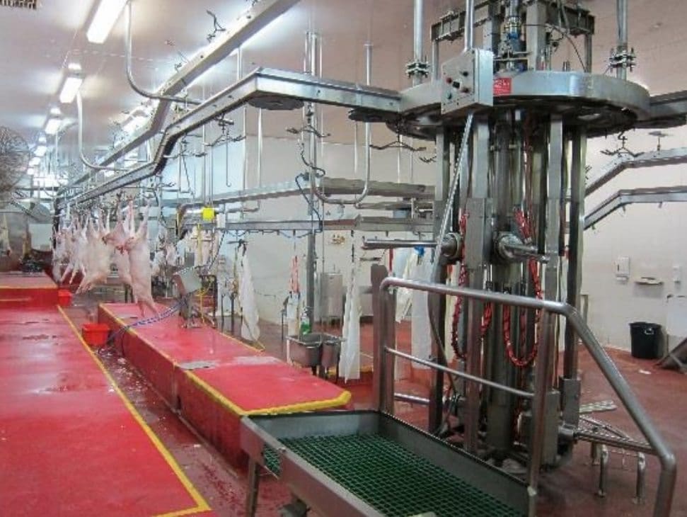 Three meat processing plants hit the market What’s behind it? Beef