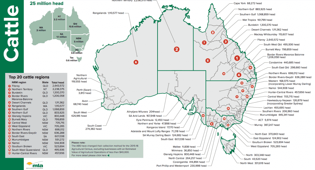 australia-s-20-largest-regions-for-cattle-population-beef-central