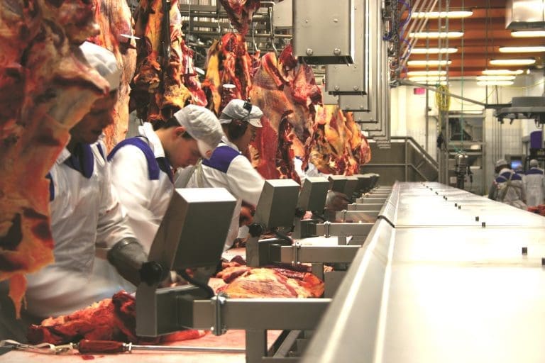 Labour pressures forcing global meat processors to invest in efficiency ...