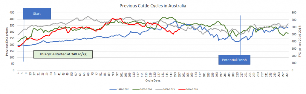 Where is the 2018 cattle market heading? Look for October low, suggests ...