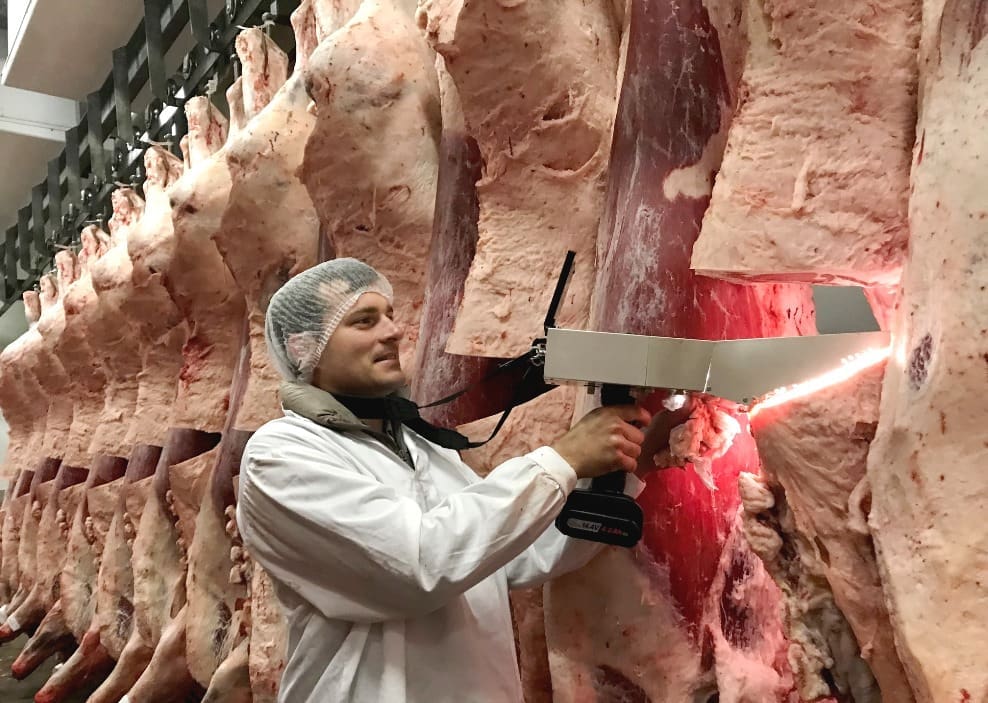 sales grid report carcase Wagyu rapid sector make progress objective towards