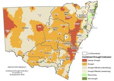 Small spring improvements for some NSW farmers - Beef Central