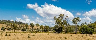 chinchilla belmont herd expansion spear 30pc softwood brigalow 50pc scrub comprises flats