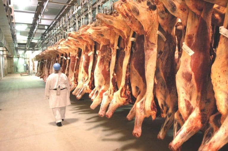 Beef boning automation next frontier for $32m Teys Rocky research ...