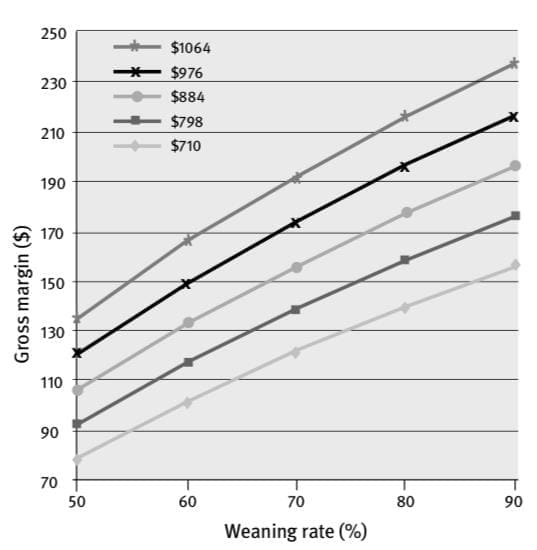 Weekly genetics review: Breeding objectives underpin production gains ...