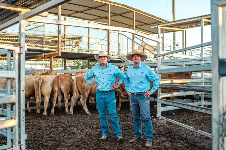 Elders acquires Eastern Rural in Dalby Beef Central