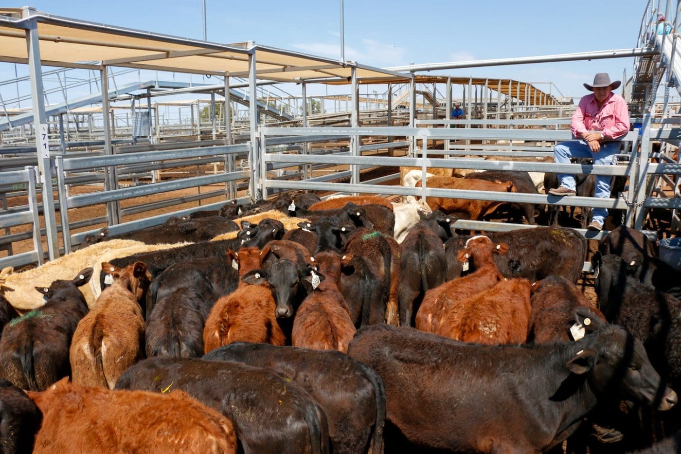 Roma store 13 Oct 2020: Records tumble again - Beef Central