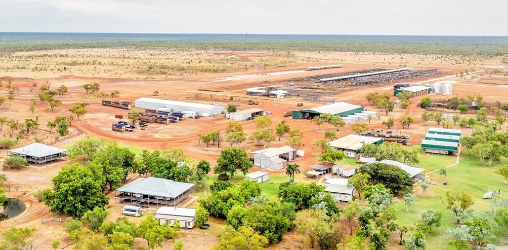 NT's Maryfield and Limbunya make $175m, with carbon a factor - Beef Central