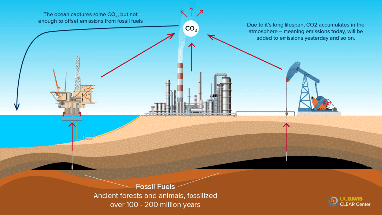 Putting more relevant numbers around Australia's livestock emissions ...