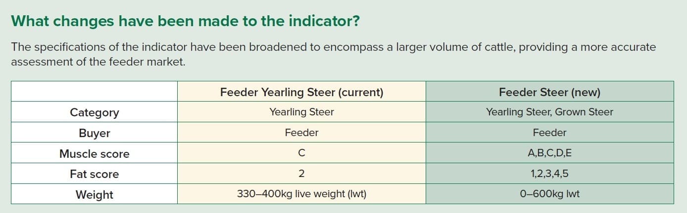 Revised feeder steer indicator - Beef Central