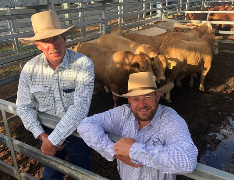 Beef 2021 commercial cattle champs: Custom feeding winning formula for ...