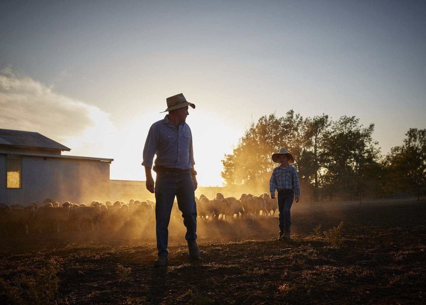 NSW Farmers Win Major Land Tax Victory Montgomery Homestead