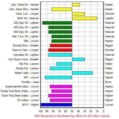 Making better bull selection decisions for heifer matings - Beef Central