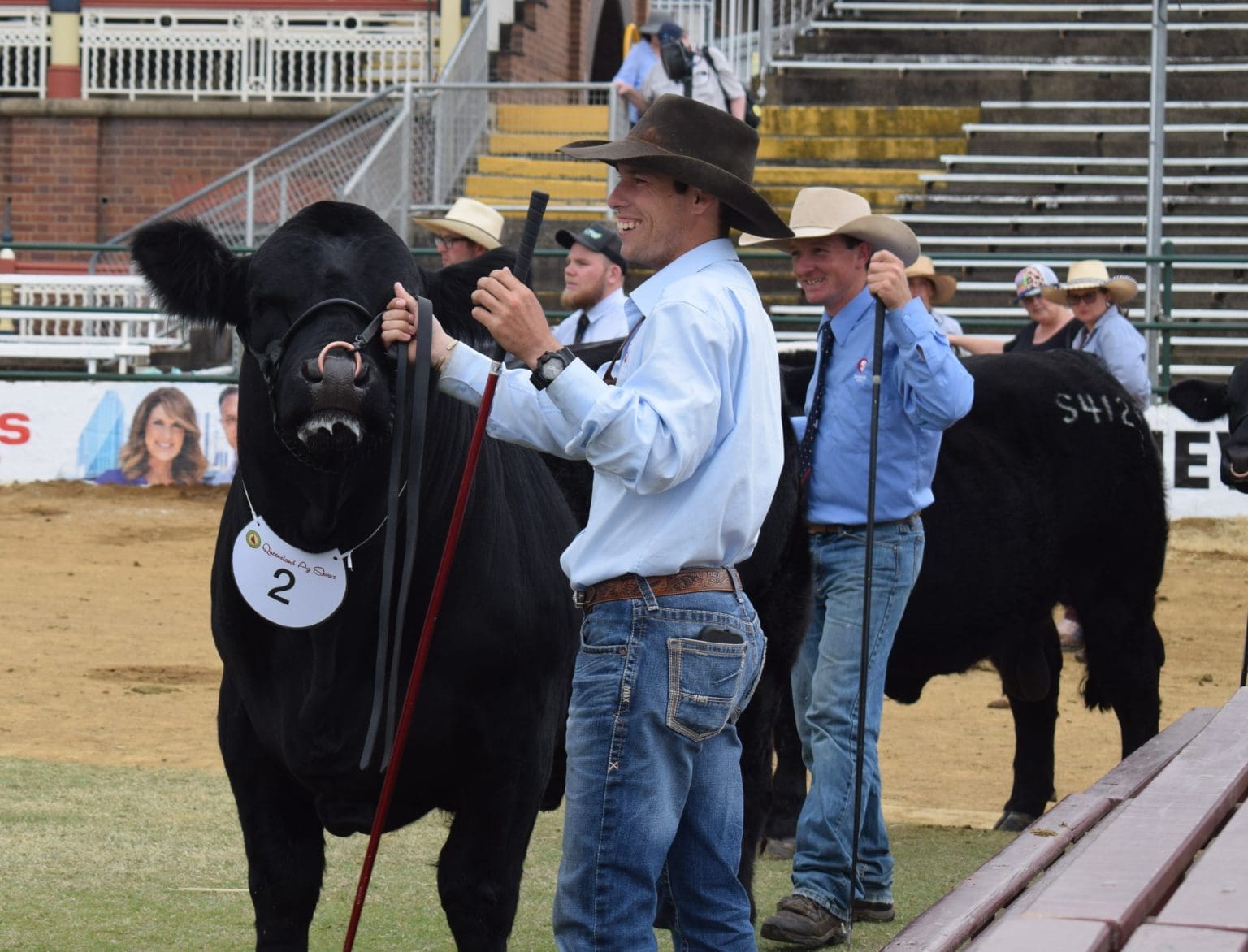 Ekka show ring hears plenty of F-words + PICS - Beef Central