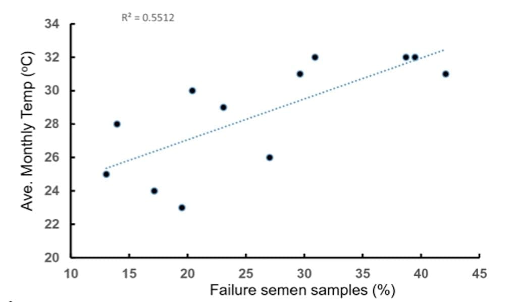 Weekly genetics review: Coping with heat – the impact on bull fertility ...