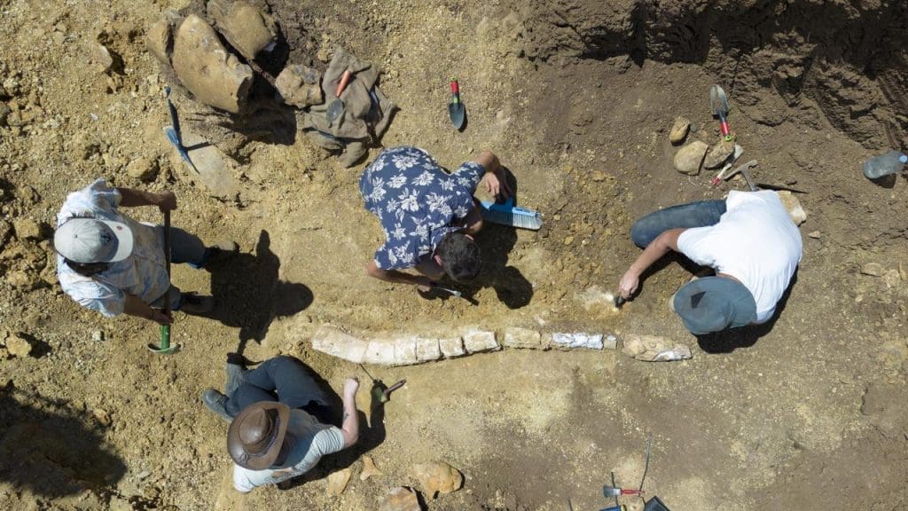 Rare Fossil Find On Queensland Cattle Property Beef Central   Dino2 1024x576 