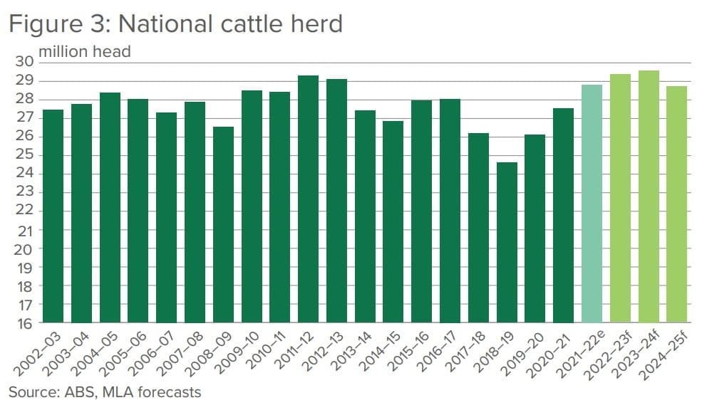 Slaughter numbers, beef production forecast to rise for remainder of