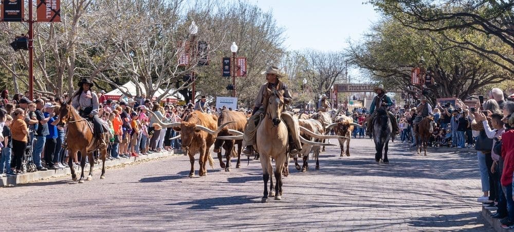 Bookings Open For Beef Central S 2024 US Study Tour Beef Central   Shutterstock 2224900247 E1689307822921 