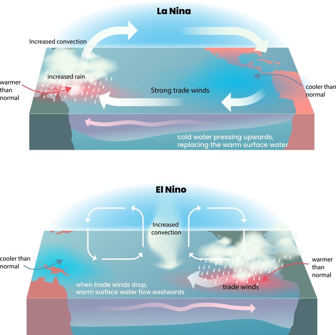 Longer El Niño and La Niña events could become more common: ANU - Beef ...