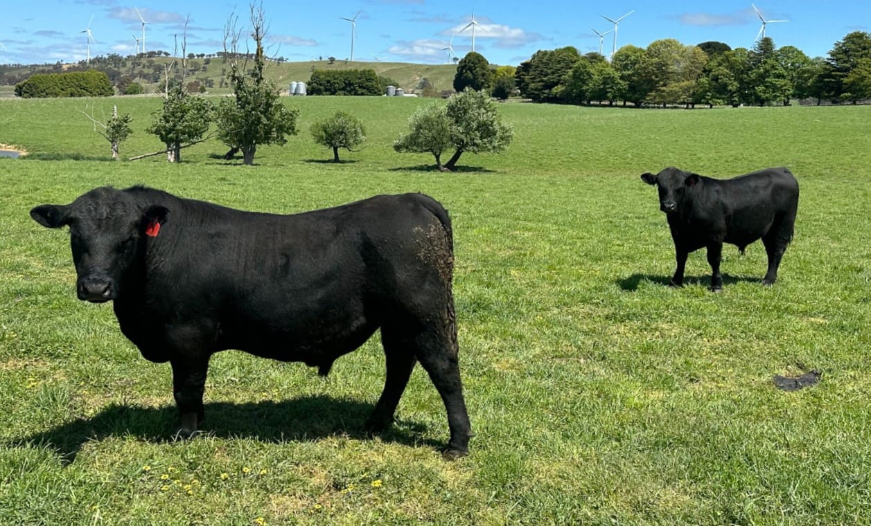 Movement at the station: Recent property listings - Beef Central