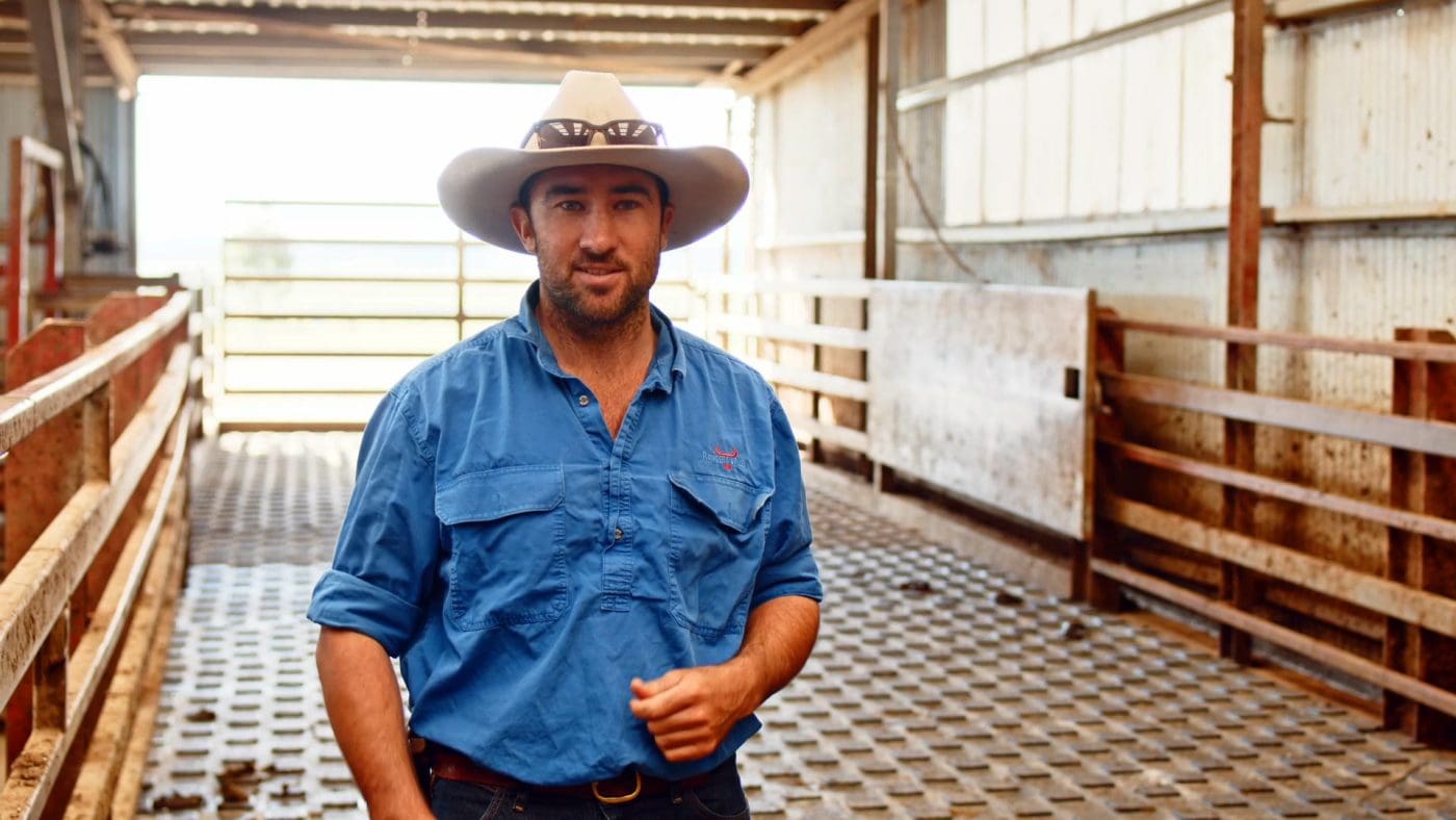 Industry shift: Top Australian feedlots embrace YoungStar mats - Beef ...