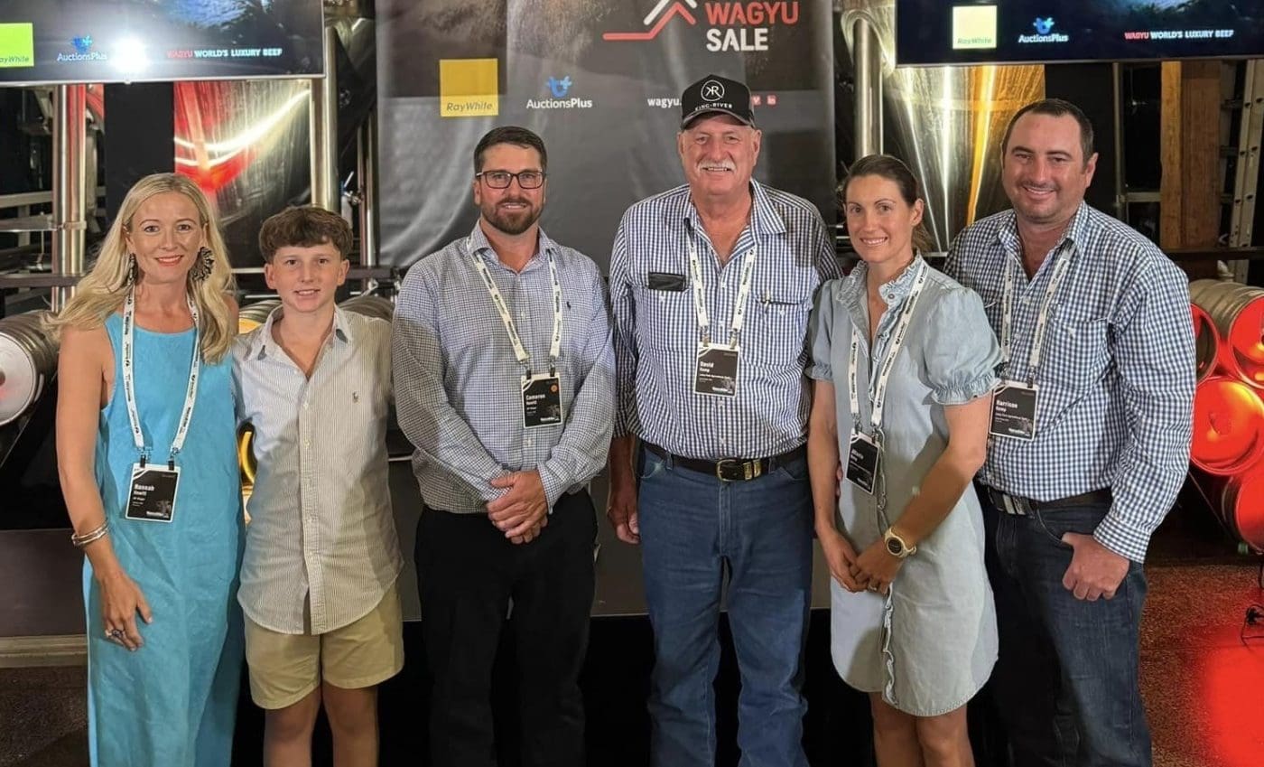 Donor females sell to 130,000 at Elite Wagyu Sale Beef Central