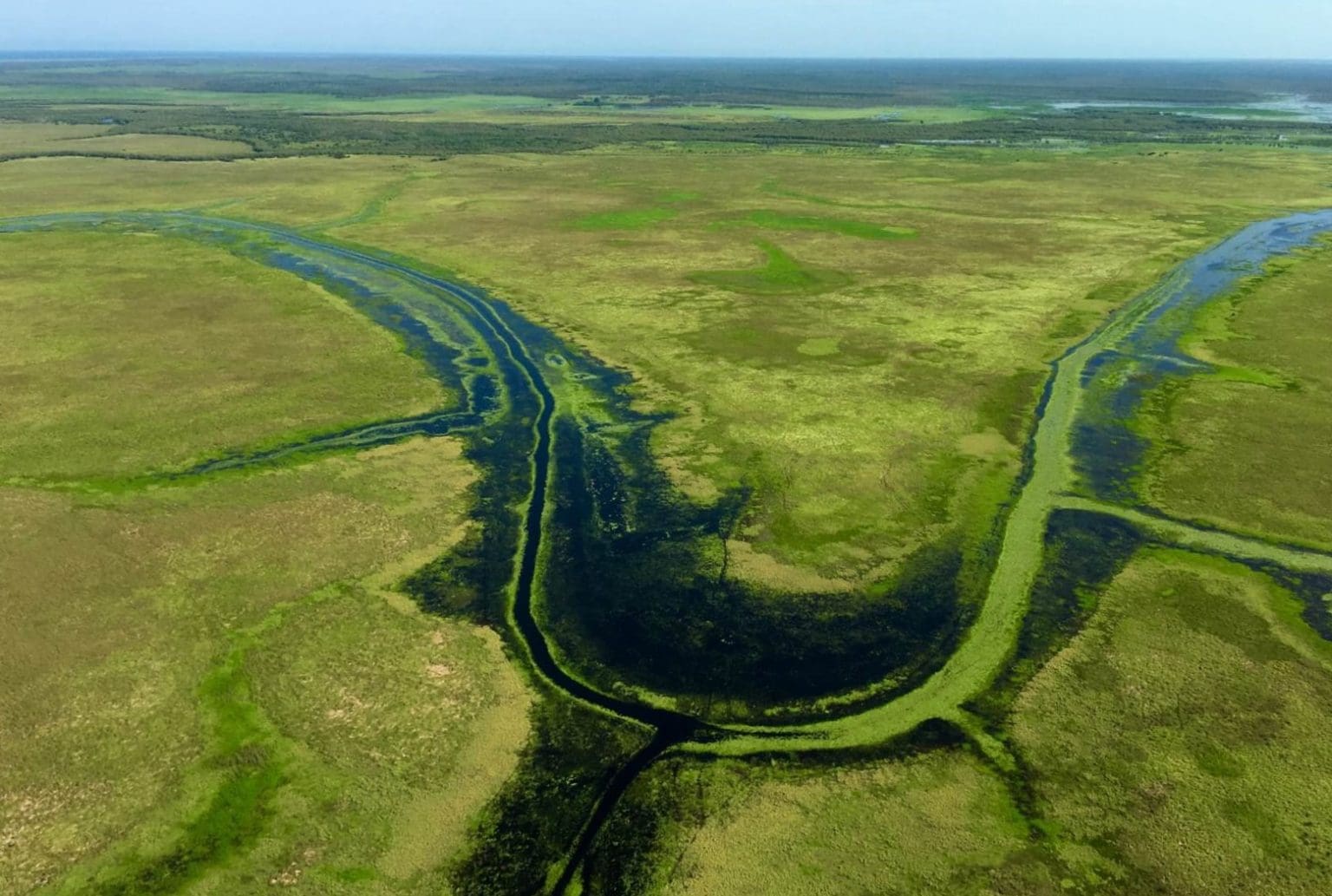 World class NT coastal floodplain property makes $49m - Beef Central